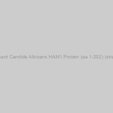 Image of Recombinant Candida Albicans HAM1 Protein (aa 1-202) (strain WO-1)